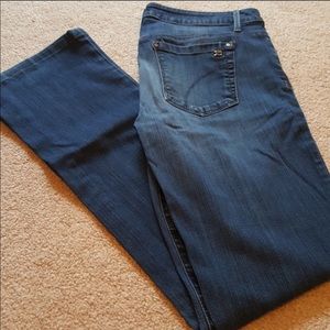 Joe’s Visionaire Jeans size 29